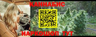 мдпв Обь