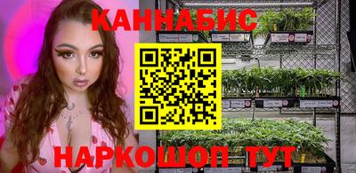 мдпв Обь
