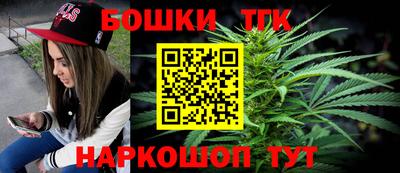 мдпв Обь