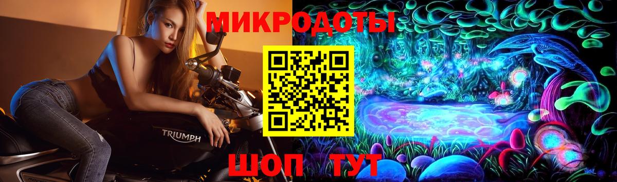 Сланцы  Галлюциногенные грибы Psilocybine cubensis  Вход с VPN 